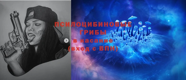 сатива Абдулино