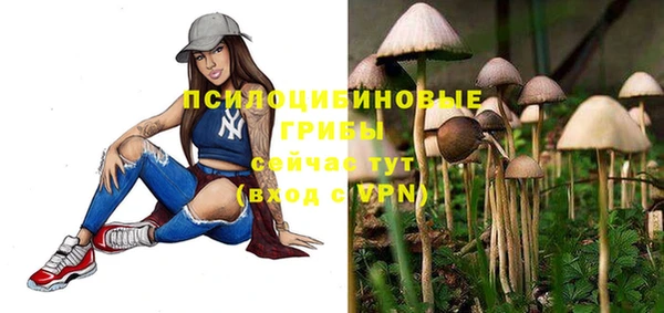 гашик Абинск
