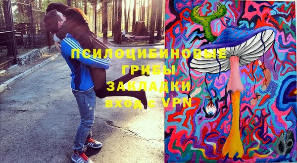 сатива Абдулино