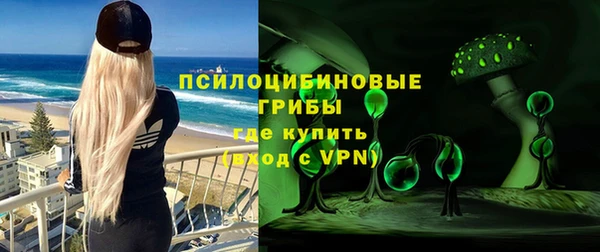сатива Абдулино